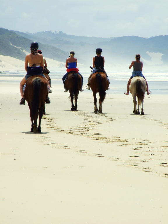 Buccaneers Beach Lodge, Chintsa, South Africa ภายนอก รูปภาพ