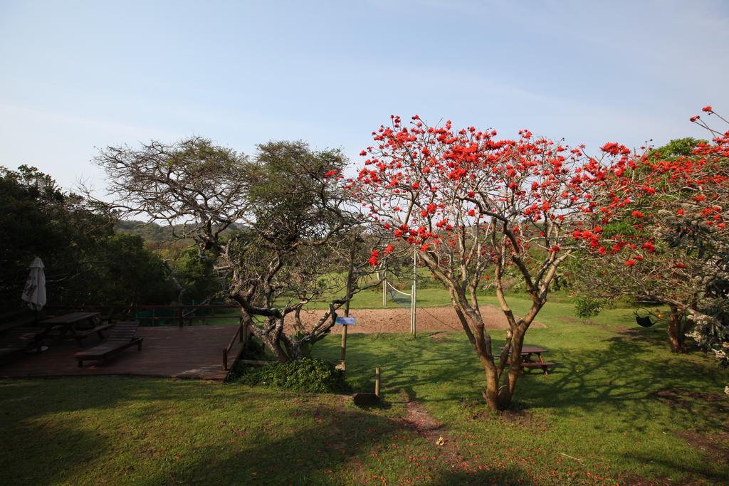 Buccaneers Beach Lodge, Chintsa, South Africa ภายนอก รูปภาพ