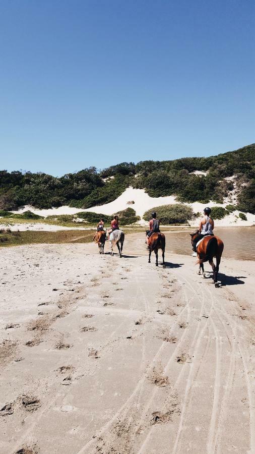 Buccaneers Beach Lodge, Chintsa, South Africa ภายนอก รูปภาพ